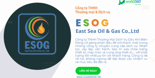 Thiết kế website , Thiết web vũng tàu, thiet ke website vung tau